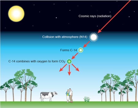 Defining The Age Of A Rock Or Cave Painting Resource Rsc Education